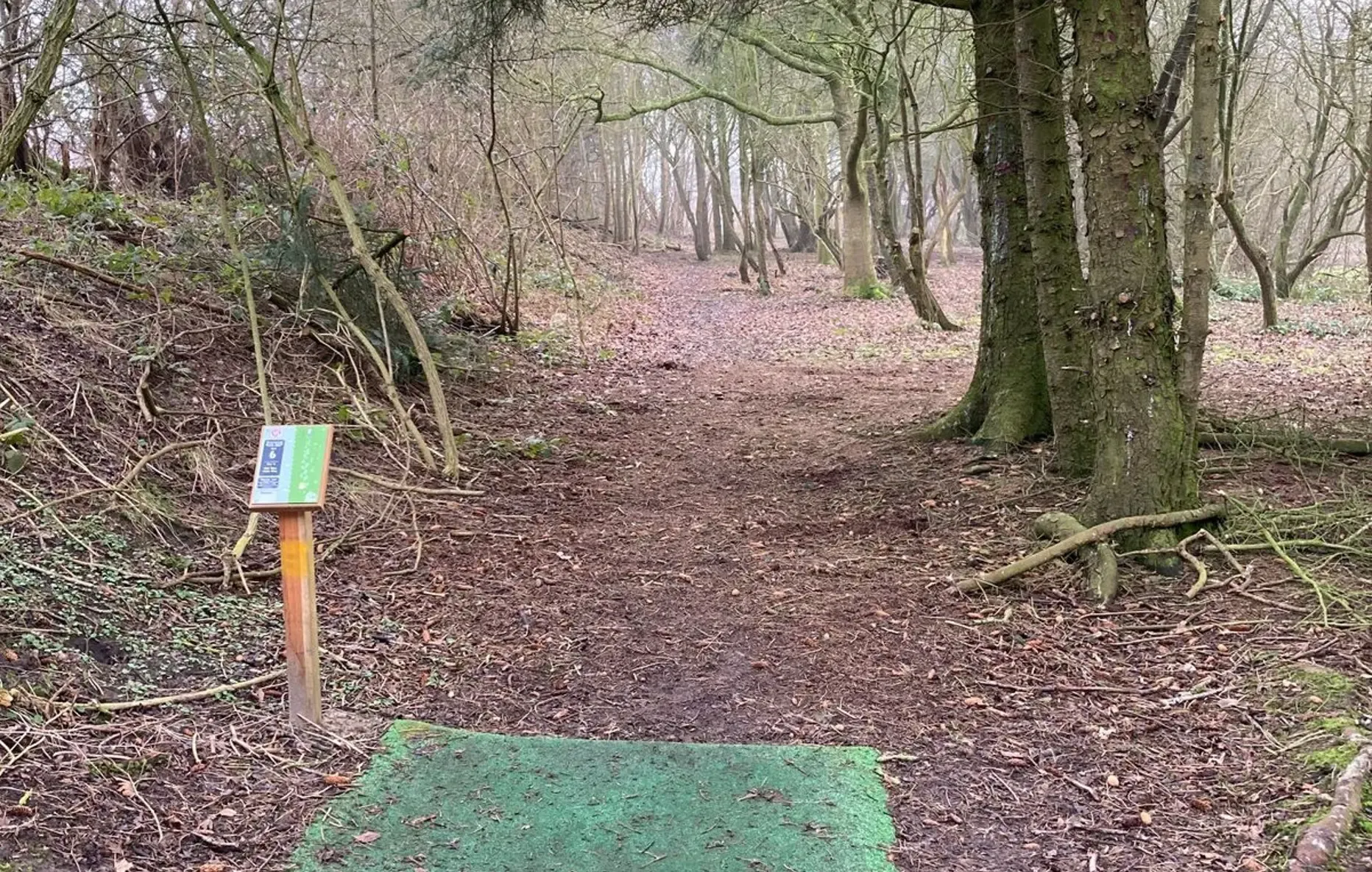 Discgolf fairway gennem skov