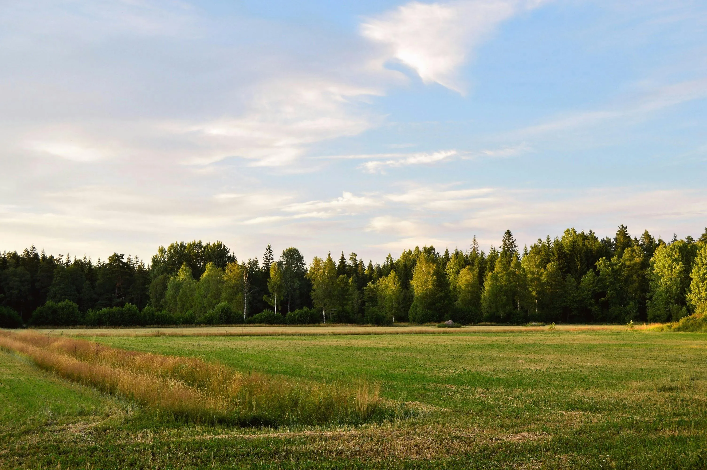 Åbent område til discgolfbane