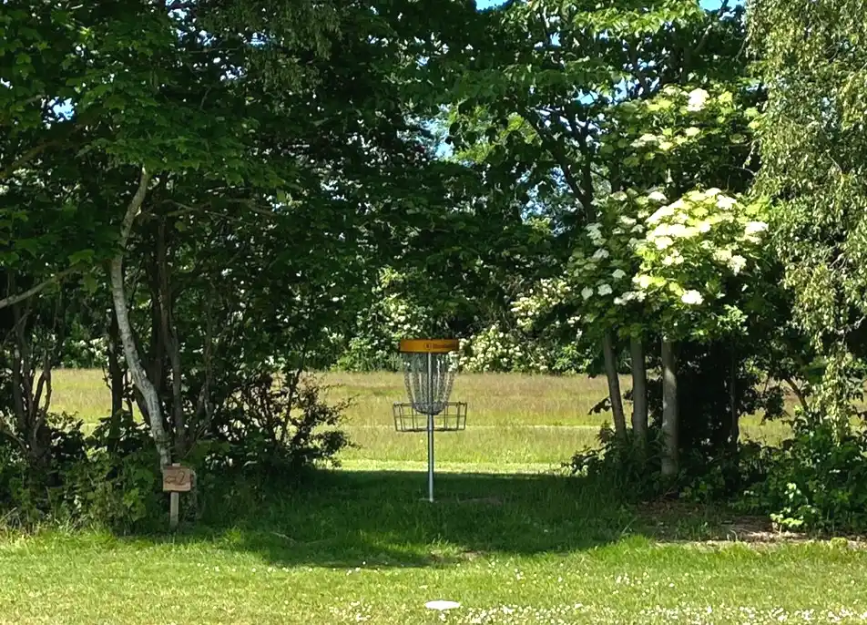 Discgolfbane i Vrensted ved Løkken